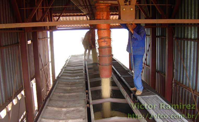 Vagão da ferrovia recebendo a carga de soja por escotilhas abertas no teto