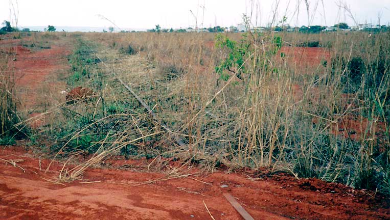 Trilhos sem uso no pátio ferroviário de Brasília